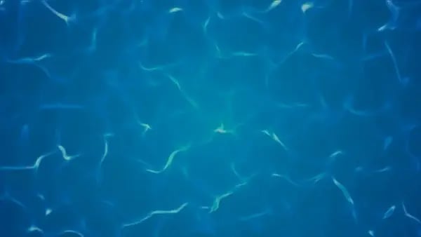 Water background